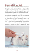 Load image into Gallery viewer, Guinea Pigs