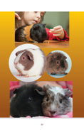 Load image into Gallery viewer, Guinea Pigs