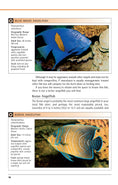 Load image into Gallery viewer, Marine Aquariums