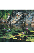 Load image into Gallery viewer, Garden Ponds