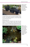 Load image into Gallery viewer, Garden Ponds