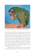 Load image into Gallery viewer, Conures