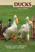 Load image into Gallery viewer, Ducks