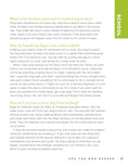 Load image into Gallery viewer, Marc Morrone's Ask the Dog Keeper