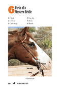 Load image into Gallery viewer, The Horse Book of Lists