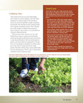 Load image into Gallery viewer, Organic Hobby Farming