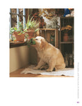 Load image into Gallery viewer, Herbs for Pets