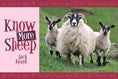 Load image into Gallery viewer, Know More Sheep