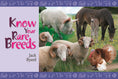 Load image into Gallery viewer, Know Your Rare Breeds
