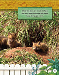 Load image into Gallery viewer, Kids' Backyard Safari: Red Foxes