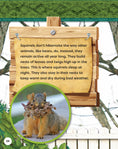Load image into Gallery viewer, Kids' Backyard Safari: Gray Squirrels