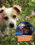Load image into Gallery viewer, If Animals Could Talk: Dogs