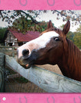 Load image into Gallery viewer, If Animals Could Talk: Horses