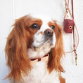 Load image into Gallery viewer, WASTE BAG HOLDER - LUSCIOUS BOW
