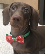 Holiday Bow Tie