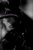 Load image into Gallery viewer, Ultraviolet Browband by Southlake Paws, featuring a vibrant purple design on a horse's bridle.