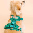 Load image into Gallery viewer, Parker Dog Harness