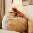 Load image into Gallery viewer, Bean Bag - King - Corduroy