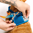 Load image into Gallery viewer, Atlas Cat Harness & Leash Set