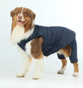 Load image into Gallery viewer, Reversible Dog Vest Jacket - Blue