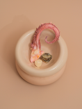 Load image into Gallery viewer, Soufflé Pet Bowl - Cream Beige