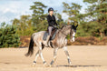 Load image into Gallery viewer, Stardust Grey Browband