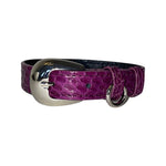XS/S 7-14 Purple Custom Snake Collar/Custom Silver Oval Italian Hardware