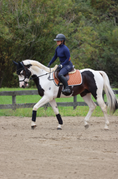 Load image into Gallery viewer, Jump Saddle Pad | Cognac