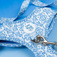 Load image into Gallery viewer, Santorini Adjustable Harness