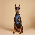 Load image into Gallery viewer, DOGISTRY The NoMad Adjustable Luxe Harness - Denim