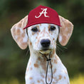 Load image into Gallery viewer, NCAA University of Alabama Crimson Tide Dog Hat