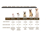 Sport Style Earth Brown Leather Dog Collar