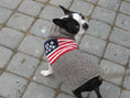 Load image into Gallery viewer, American Flag Wool Dog Sweater
