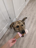 Load image into Gallery viewer, ICE CREAM PLUSH DOG TOY - Southlake Paws