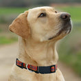 Load image into Gallery viewer, Anaheim Ducks Satin Collar