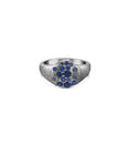 Load image into Gallery viewer, OLIVE & CHAIN Sapphire Celestial Pinky Ring - White Gold, 3.5