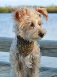 Load image into Gallery viewer, FLORAL BANDANA - Southlake Paws