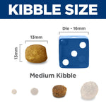 Hill's Science Diet Adult Oral Care Chicken Recipe Dry Cat Food Bag