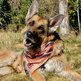 Load image into Gallery viewer, Sport Bandana - Grand Mesa
