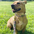 Load image into Gallery viewer, Up Country Alligator Cast Brass Dog Leash