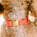 Load image into Gallery viewer, Ambrose Dog Collar