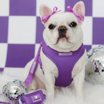 Frenchie Duo Reversible Harness - LA Purple