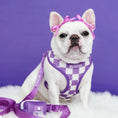 Load image into Gallery viewer, Frenchie Duo Reversible Harness - LA Purple