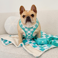 Load image into Gallery viewer, Frenchie Duo Reversible Harness - Aqua