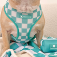 Load image into Gallery viewer, Frenchie Duo Reversible Harness - Aqua