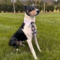 Load image into Gallery viewer, Vineyard Collar Tie