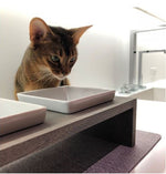 Artisan Double Wood Feeder Fossil