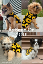 Sunflower Days Sweater