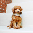 Load image into Gallery viewer, Up Country Metallic Aspen Puffer Coat Pet Accessory