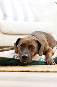 Load image into Gallery viewer, Astrid Dog Bed
